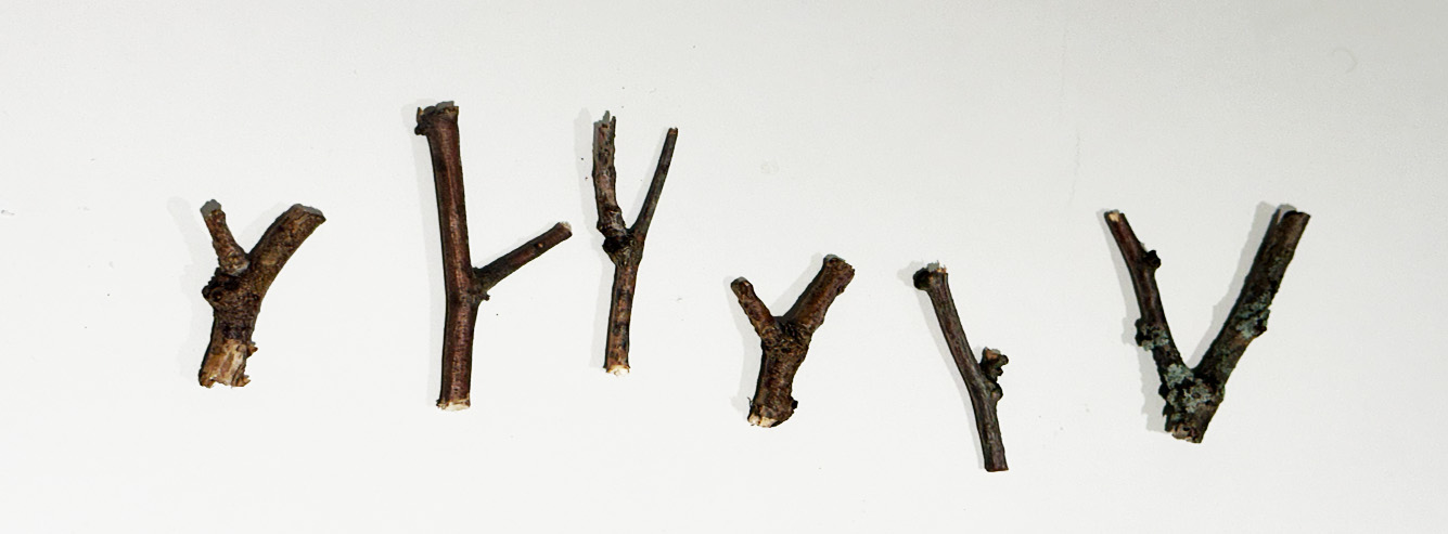 Collected forked branches